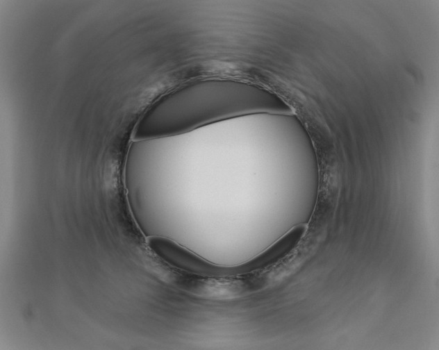 X0000112980708200908270918