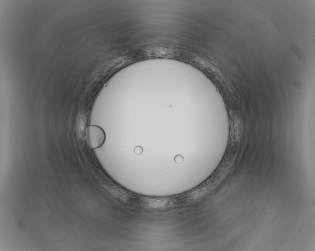 X0000112980709200908270918