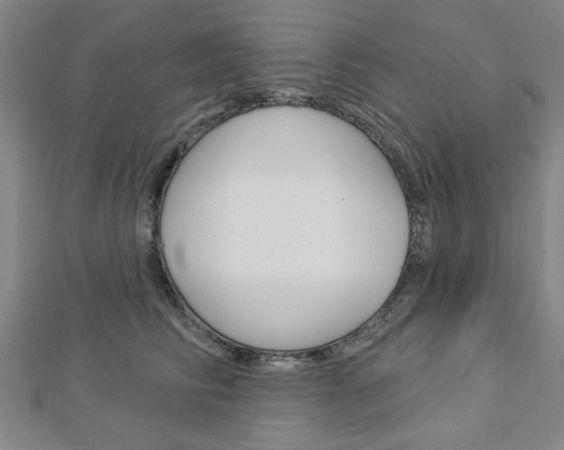 X0000112980710200908270918