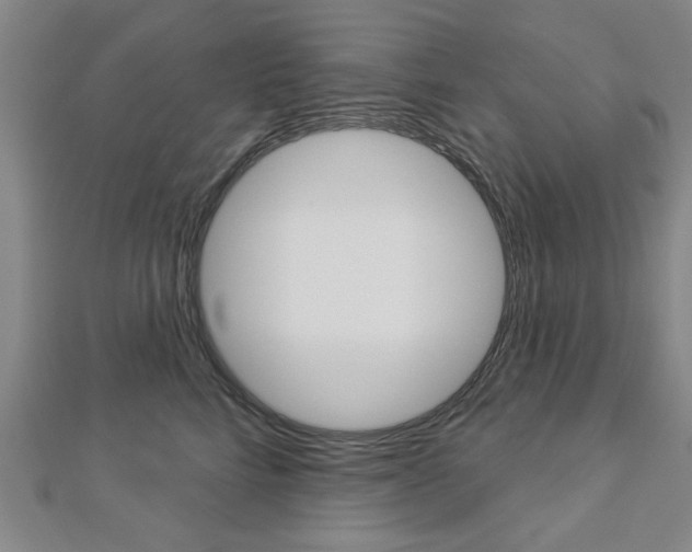 X0000112980712200908270918