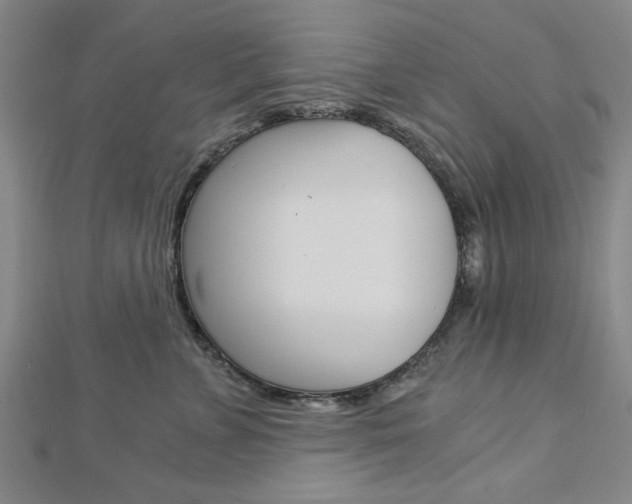 X0000112980715200908270918