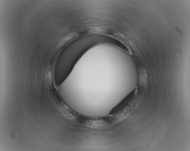 X0000112980716200908270918