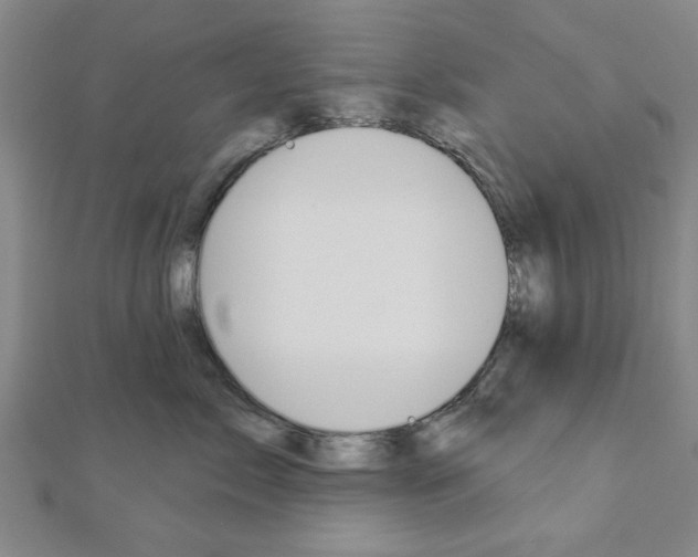 X0000112980717200908270918