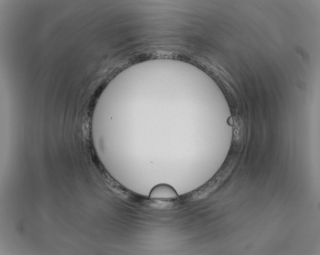 X0000112980718200908270918