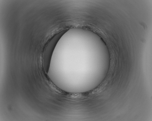 X0000112980720200908270918