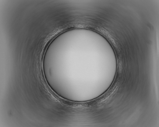 X0000112980721200908270918