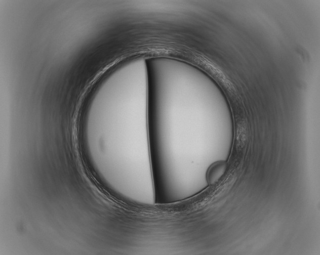 X0000112980722200908270918