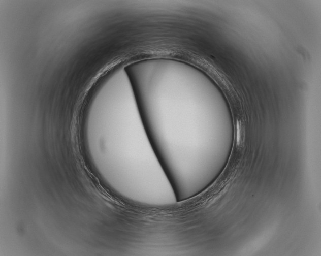 X0000112980723200908270918