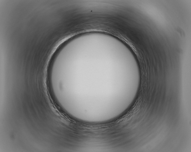 X0000112980724200908270918