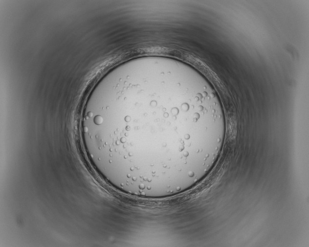 X0000112980725200908270918