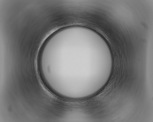 X0000112980726200908270918