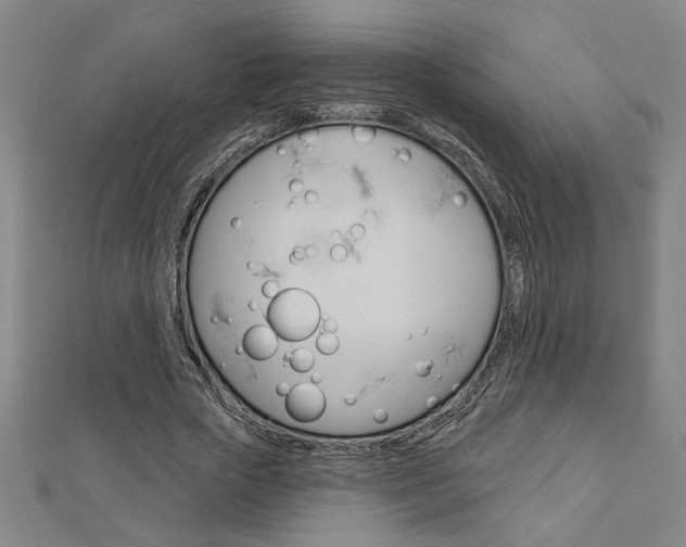 X0000112980729200908270918