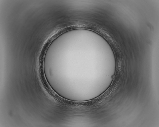 X0000112980730200908270918