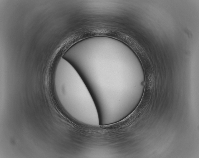 X0000112980731200908270918