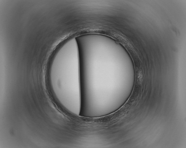 X0000112980732200908270918