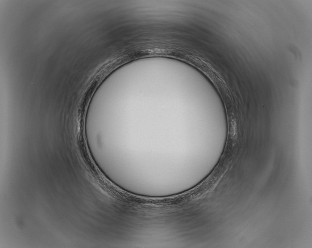 X0000112980733200908270918