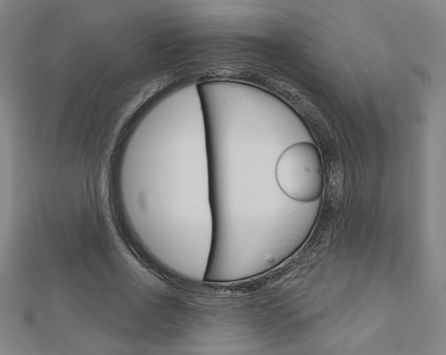 X0000112980734200908270918