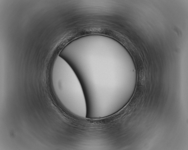 X0000112980735200908270918