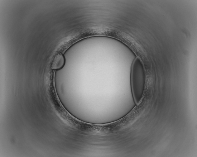 X0000112980736200908270918
