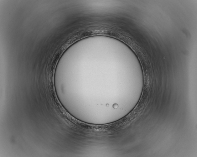 X0000112980737200908270918