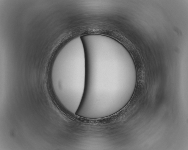 X0000112980738200908270918