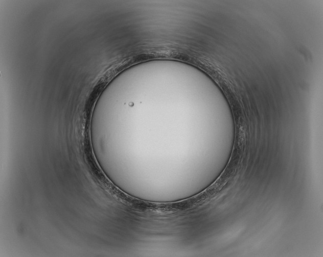 X0000112980739200908270918