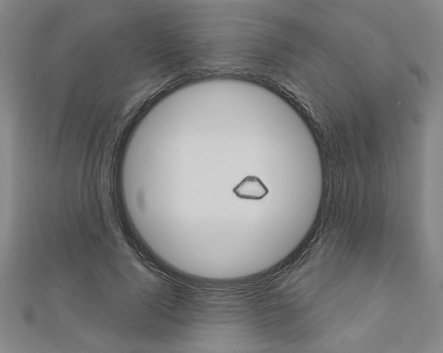 X0000112980740200908270918