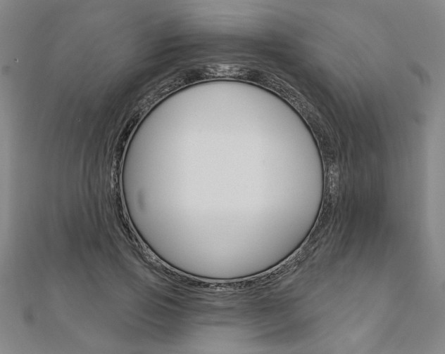 X0000112980741200908270918