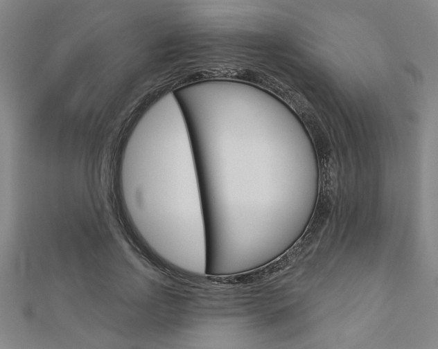 X0000112980742200908270918