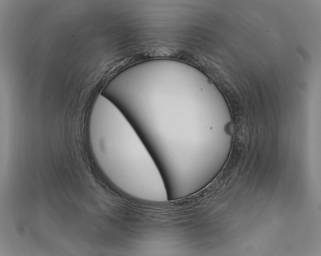 X0000112980743200908270918