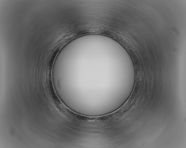 X0000112980744200908270918