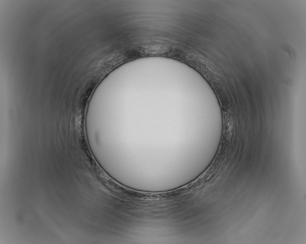 X0000112980745200908270918