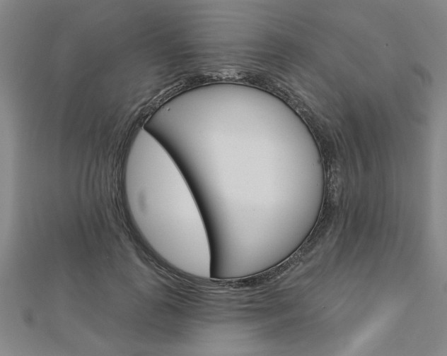 X0000112980747200908270918
