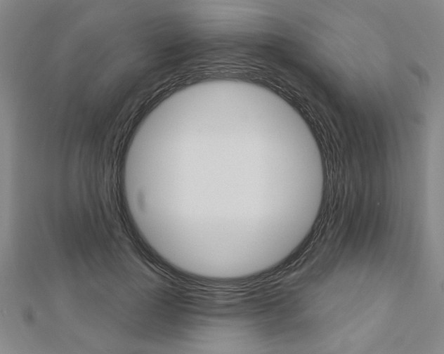 X0000112980748200908270918