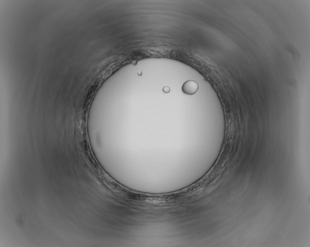 X0000112980749200908270918