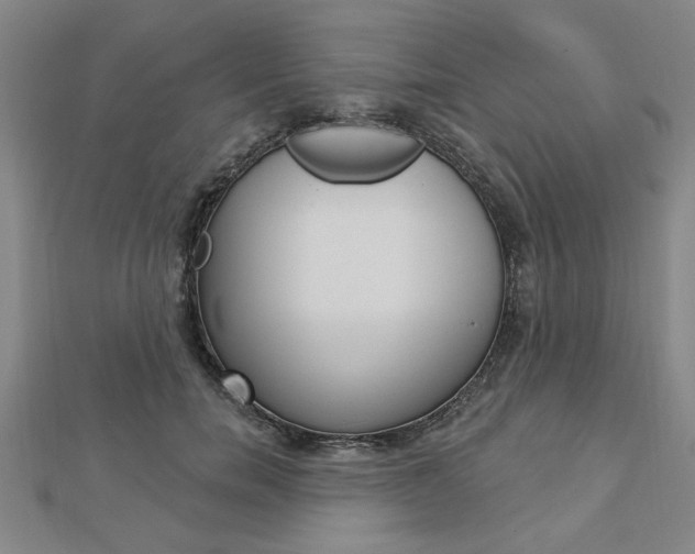 X0000112980750200908270918