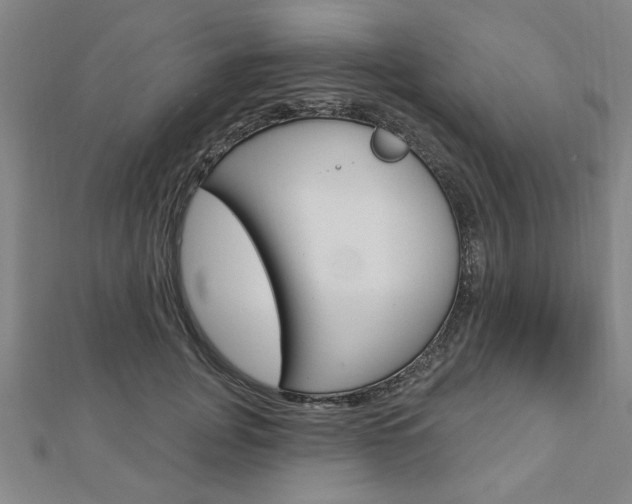 X0000112980751200908270918