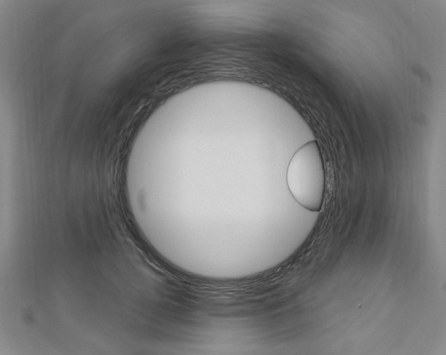 X0000112980752200908270918