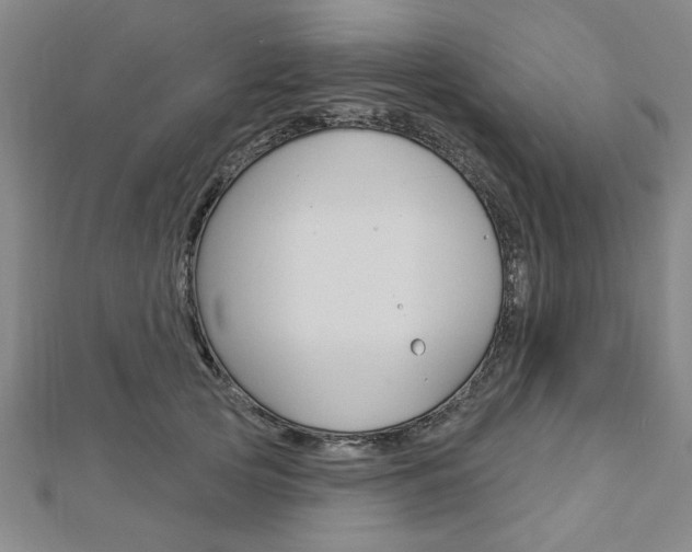 X0000112980753200908270918