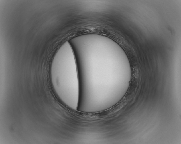 X0000112980754200908270918