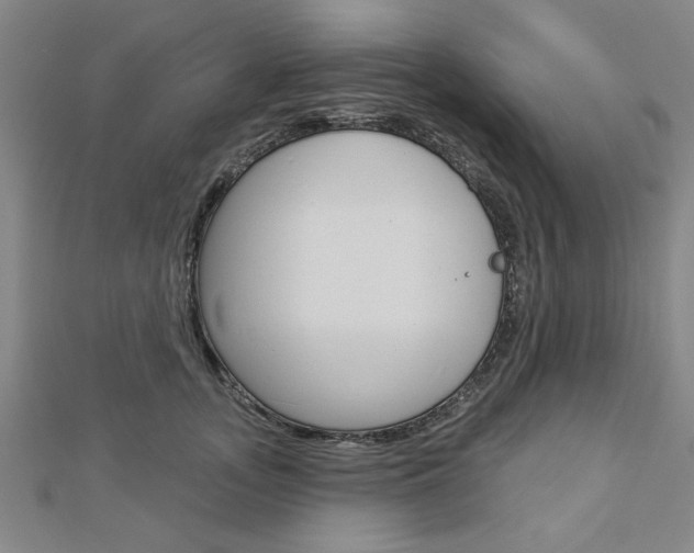X0000112980755200908270918