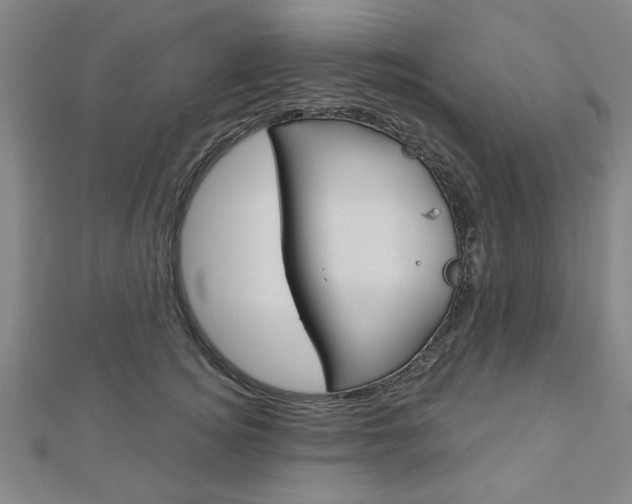 X0000112980756200908270918