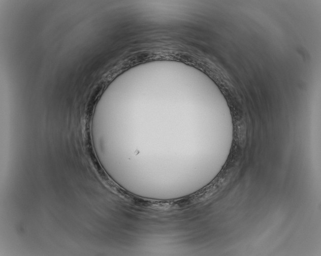 X0000112980757200908270918