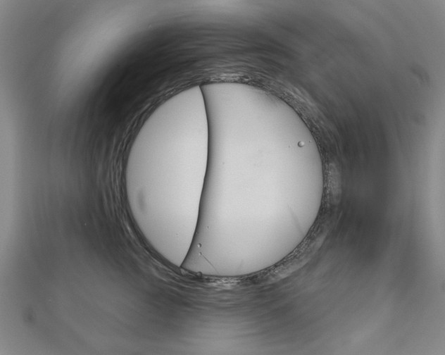 X0000112980761200908270918