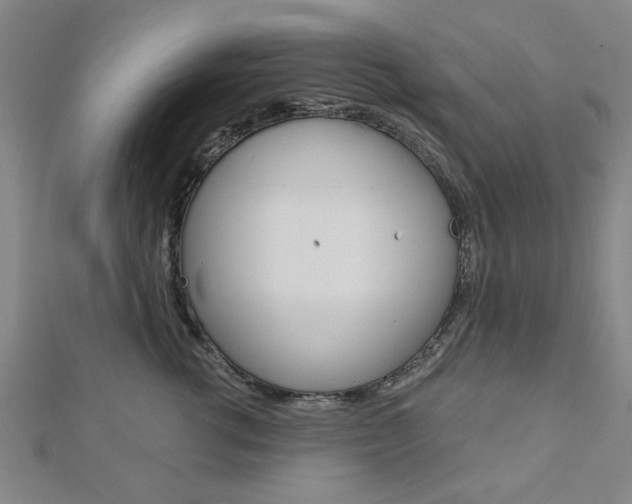 X0000112980762200908270918