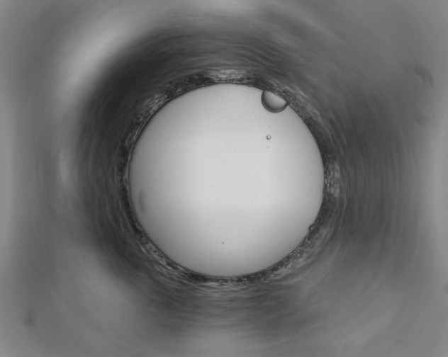 X0000112980763200908270918