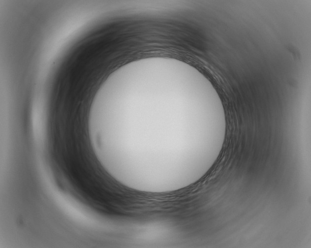 X0000112980764200908270918