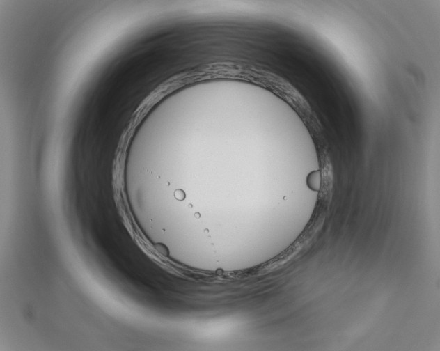 X0000112980765200908270918