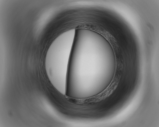 X0000112980766200908270918