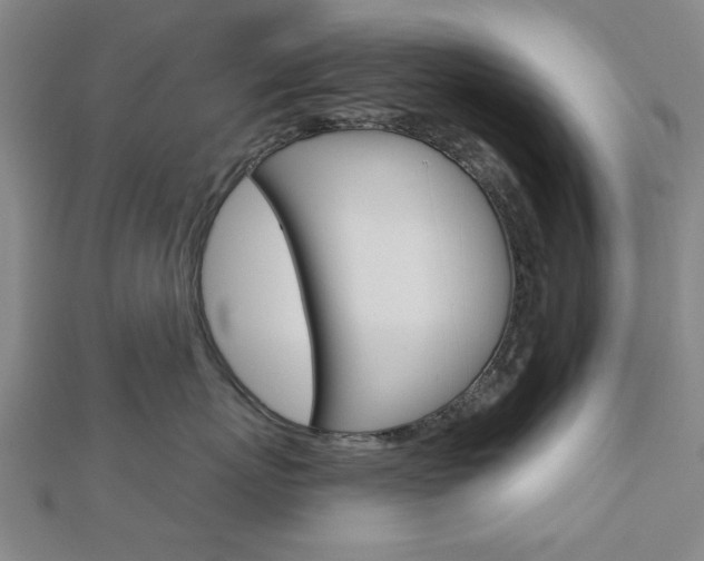 X0000112980767200908270918